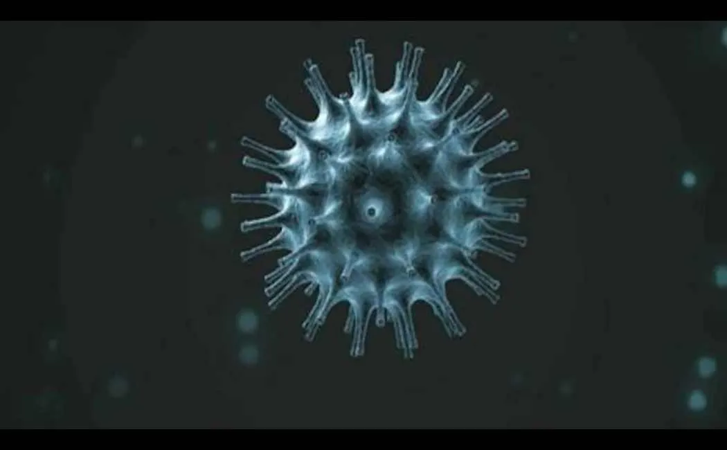 corona virus 